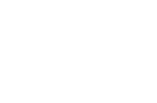 grupo-plinio-fleck